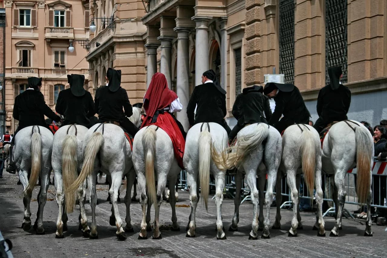 Sviluppo web Cagliari 2026 | Costi e tempistiche reali