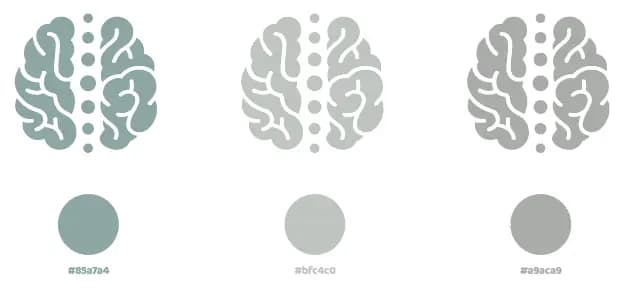 Merlata Salus: sviluppo completo del sito web, branding da zero e identità digitale di un nuovo studio multidisciplinare